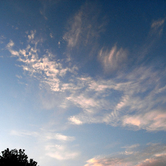 e0100772_2237532.jpg