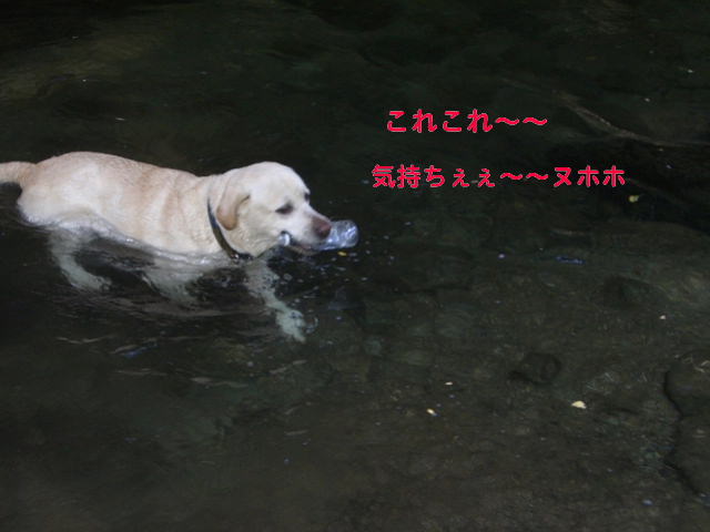 b0044073_0122468.jpg