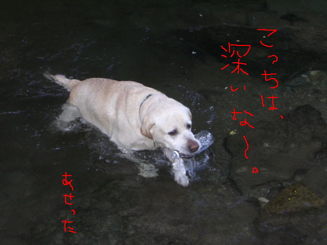 b0044073_0124752.jpg