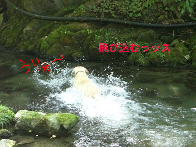 b0044073_061563.jpg