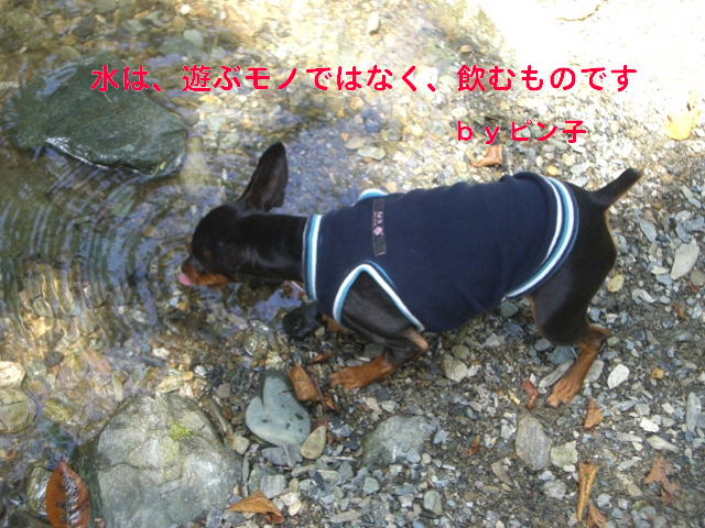 b0044073_065650.jpg