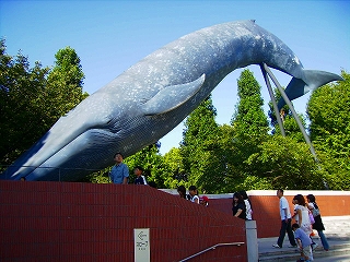 d0120382_17322062.jpg