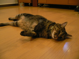 a0056686_2222348.jpg
