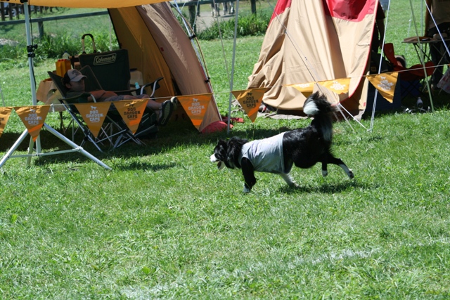 f0054290_2152107.jpg