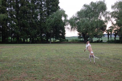 f0094391_749350.jpg