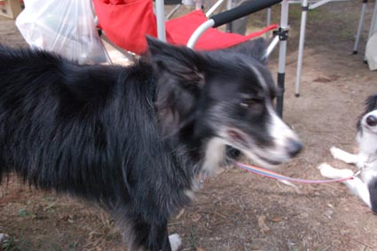 f0094391_8374698.jpg