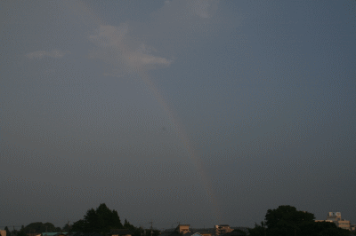 d0100192_21182494.gif