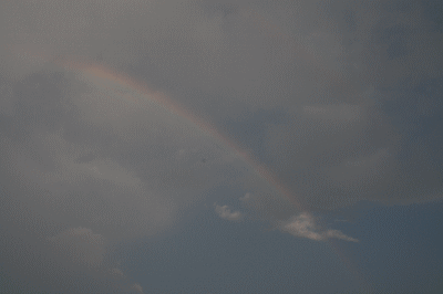 d0100192_2118545.gif