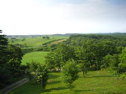 c0004193_22151799.jpg