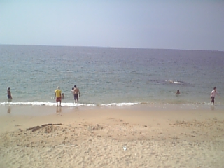 e0099593_104276.jpg