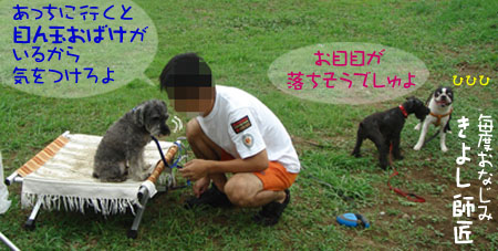 c0094999_14361579.jpg