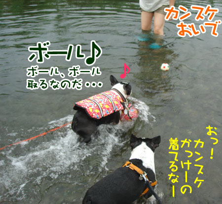 c0094999_14491376.jpg