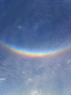 a0078106_22124271.jpg