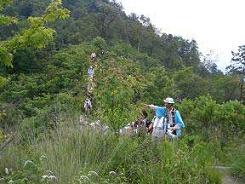 e0093407_1239464.jpg