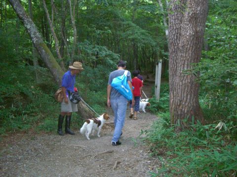 c0065512_0284333.jpg