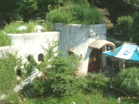 d0006323_7182798.jpg