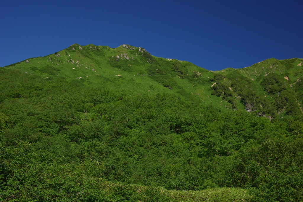 b0062024_20225913.jpg