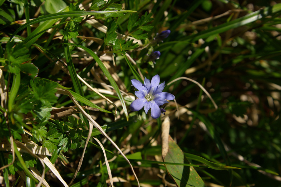 b0062024_20253332.jpg