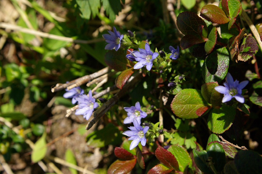 b0062024_20254621.jpg