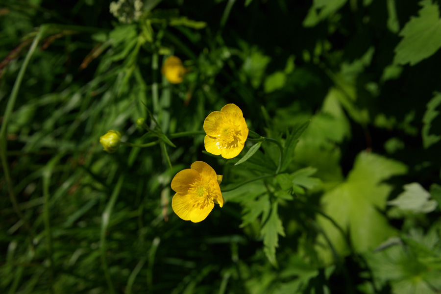 b0062024_2028283.jpg
