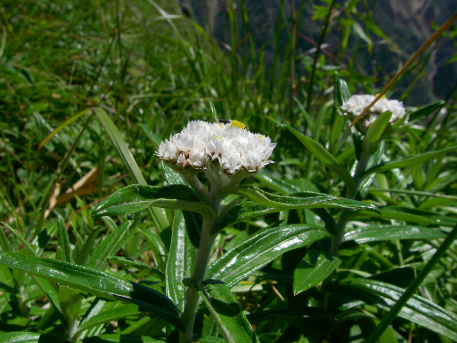 b0062024_2034548.jpg