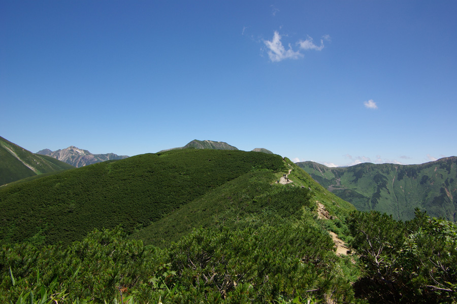 b0062024_20374543.jpg
