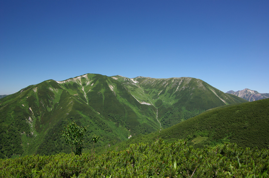 b0062024_20382482.jpg