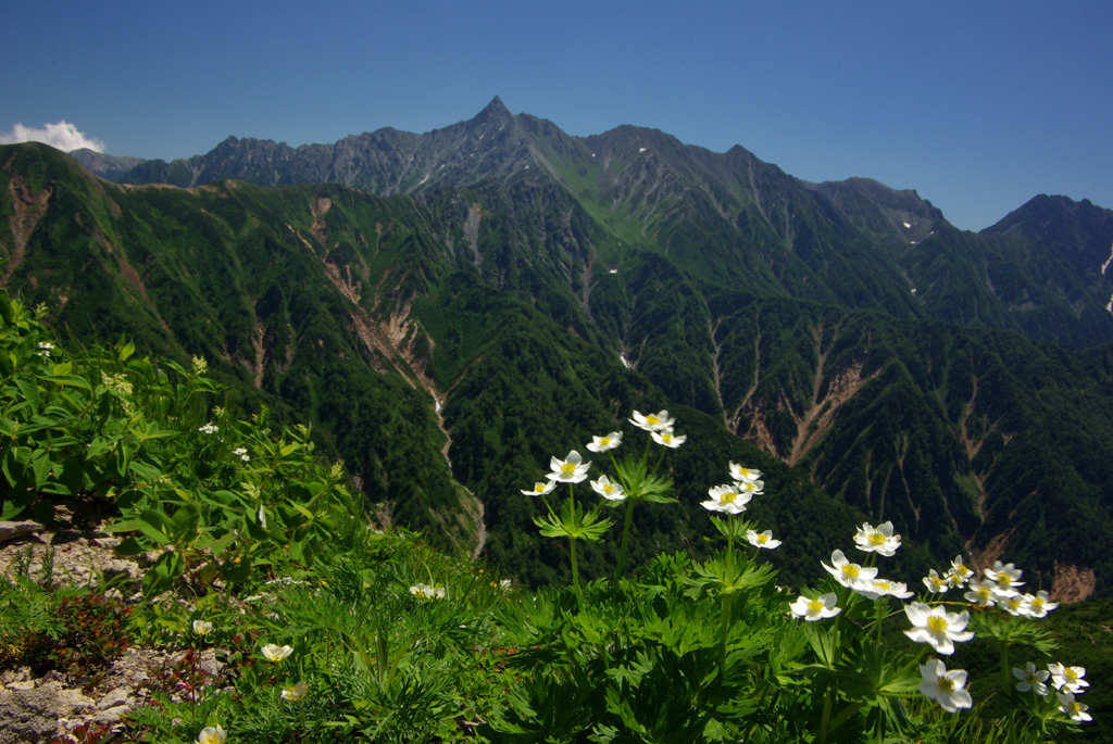 b0062024_20434596.jpg