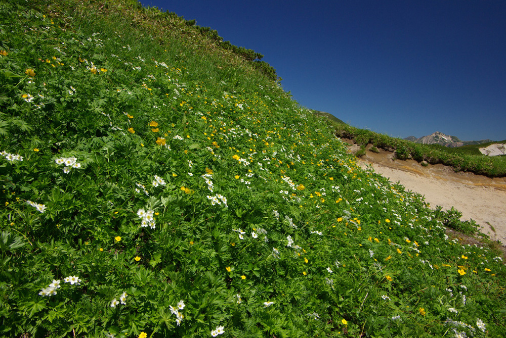 b0062024_2047355.jpg