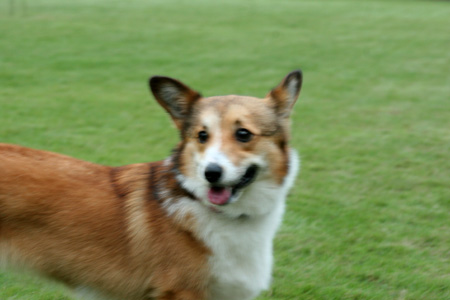 e0071225_914377.jpg