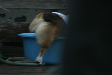 e0071225_928999.jpg