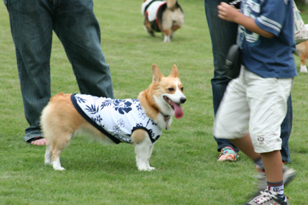e0071225_983813.jpg