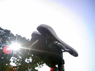 e0089826_012134.jpg