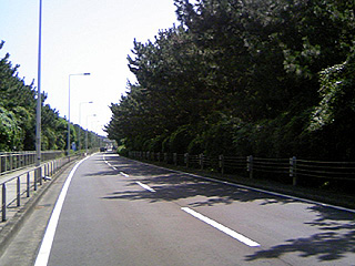 e0089826_071050.jpg