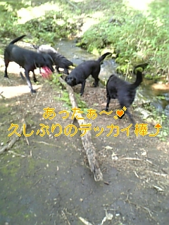 f0148927_1975560.jpg