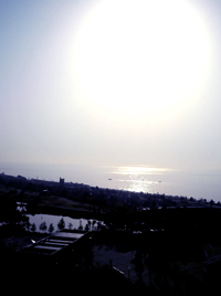 b0035734_19562247.jpg