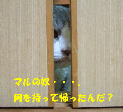 f0008935_14432477.gif