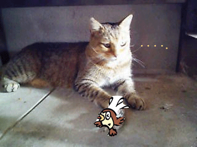 f0008935_14435741.gif