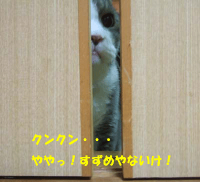 f0008935_14442169.gif