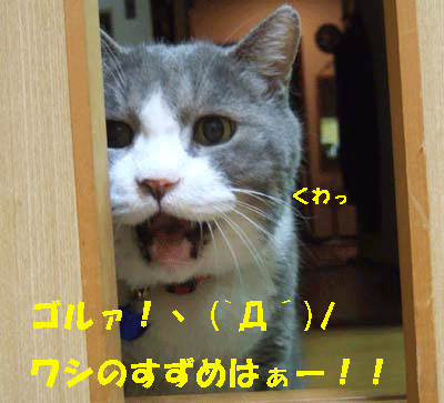 f0008935_14445957.gif