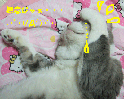 f0008935_14453550.gif