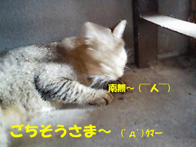 f0008935_1510170.gif