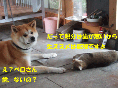 f0008935_15102410.gif