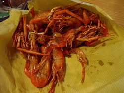 e0098547_315036.jpg