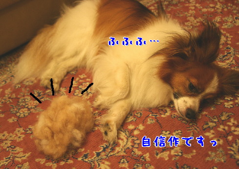 d0013149_136663.jpg