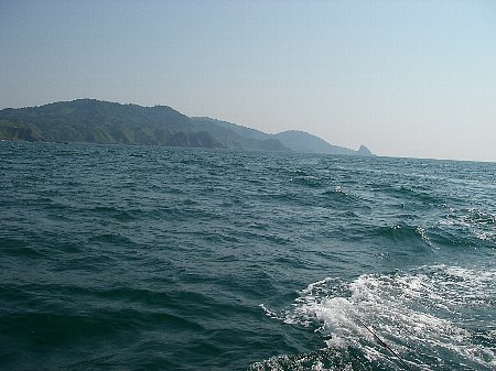 a0056654_040889.jpg