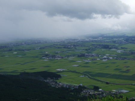 e0088654_11333239.jpg