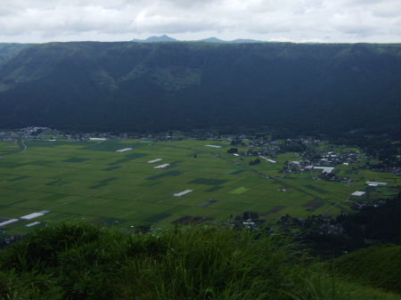 e0088654_11335534.jpg