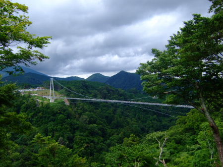 e0088654_3384344.jpg
