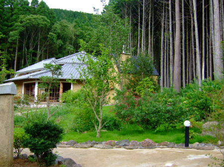 e0088654_341542.jpg